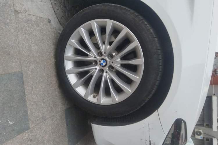 Used BMW 5 Series 2020 530Li Luxury Edition Premium Package