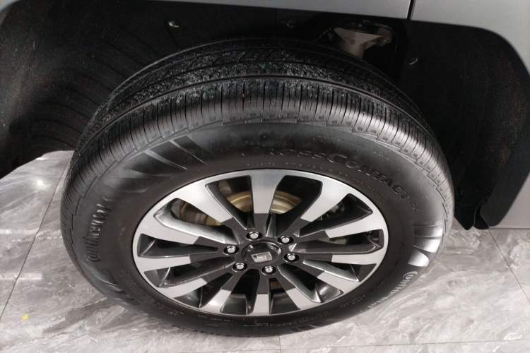 Used Tank 700 New Energy 2024 Hi4-T Extreme Edition
