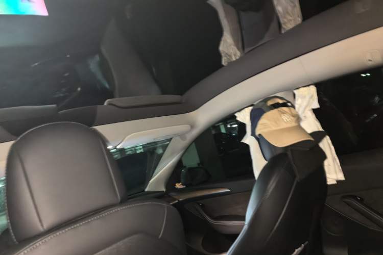 Used Tesla Model Y 2021 Standard Range Rear-Wheel Drive Version Headliner