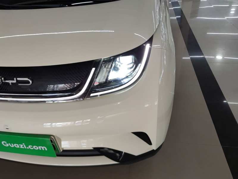 Used BYD Dolphin 2021 405 km Fashion Edition — 23