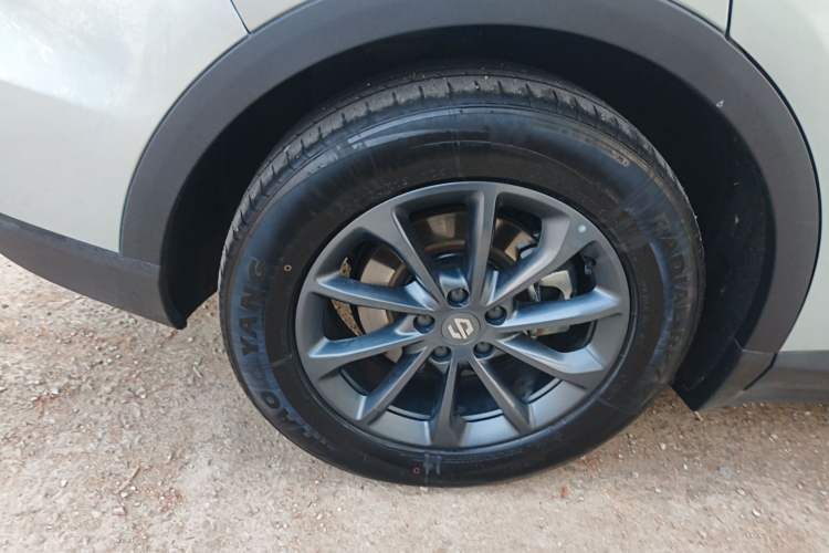 Used Leapmotor C11 2023 Pure Electric 500 Comfort Edition
