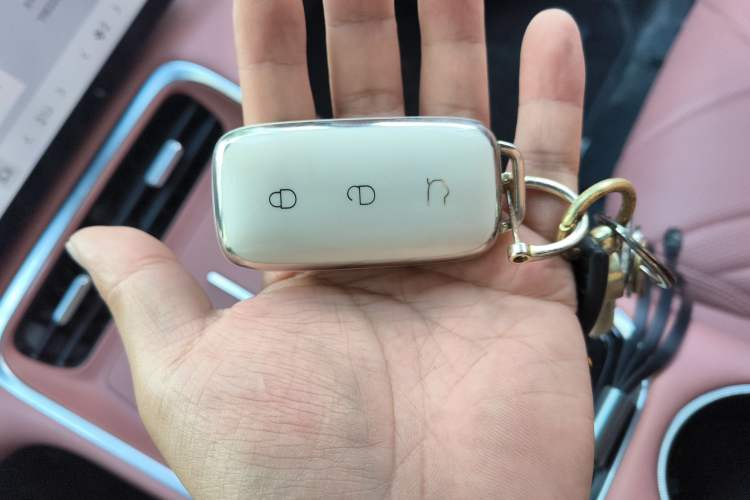 Used Geely Galaxy L6 2025 EM-i 140km Explorer+ Edition
