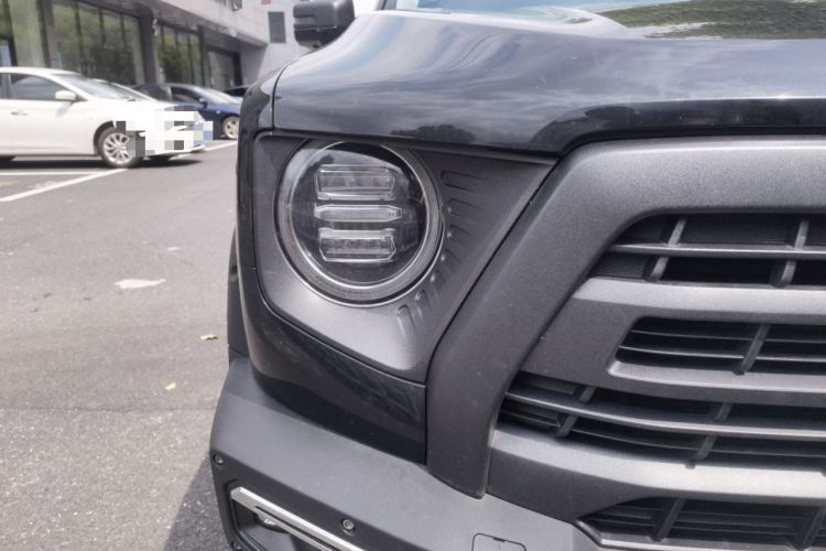 Used Haval DARGO 2024 2.0T DCT Chinese Rural Dog Edition