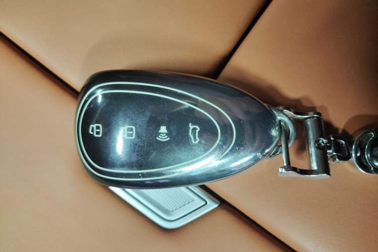 Used Wey Lanshan 2025 Four-Wheel Drive Max
