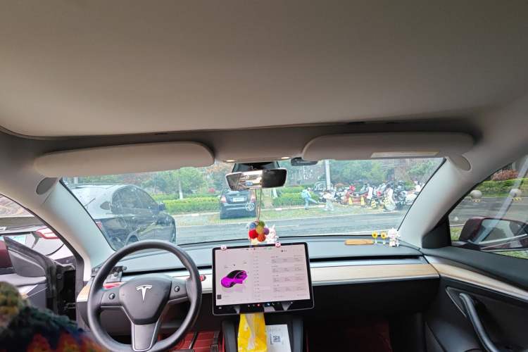 Used Tesla Model 3 2022 Rear-Wheel-Drive Version
