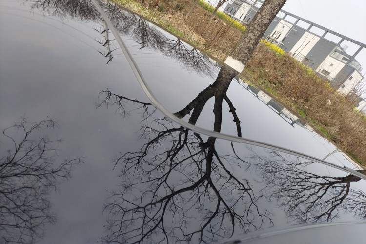 Used Volkswagen Magotan 2019 330TSI DSG Leading Model China VI Standard