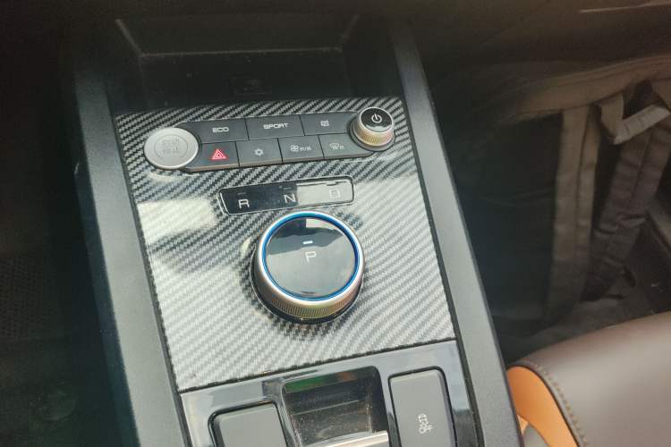 Used BYD e2 2020 Upgraded Version Long-Range Edition Luxury Model Gear Lever