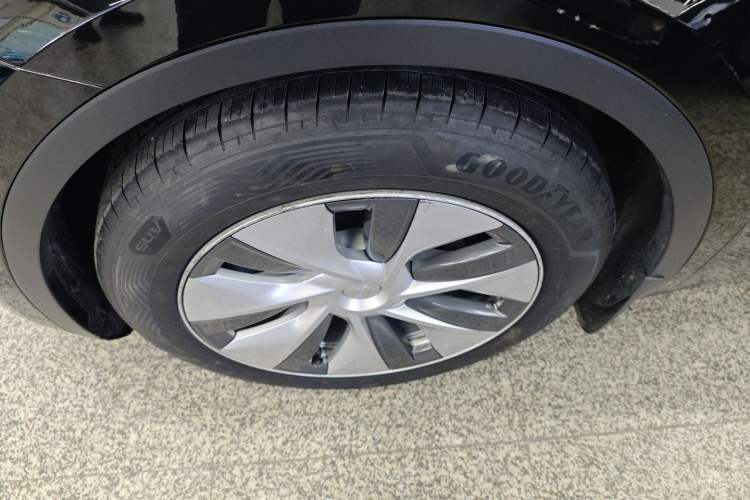 Used Tesla Model Y 2021 Standard Range Rear-Wheel Drive Version