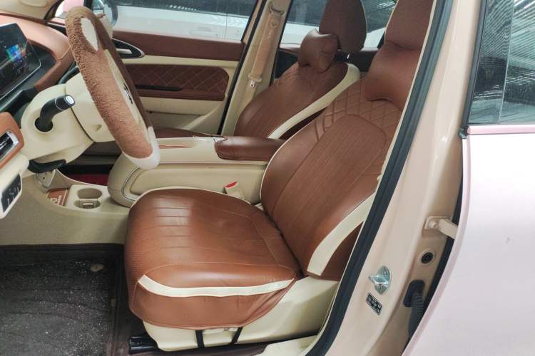 Used ORA Good Cat 2024 401 km Luxury Version