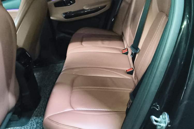 Used Nio EC6 2020 615 km Performance Edition Left Rear Seat