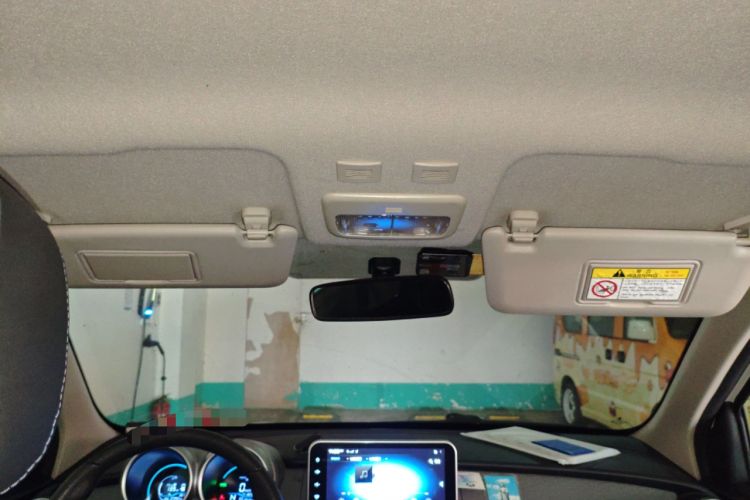 Used ORA Black Cat 2019 351 km Family Edition Headliner