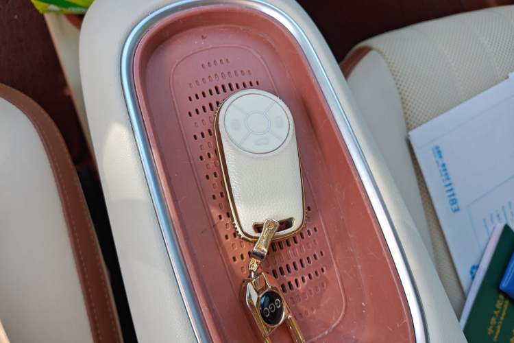 Used ORA Good Cat 2023 401 km Standard Range Premium Trim Ternary Lithium Vehicle Key