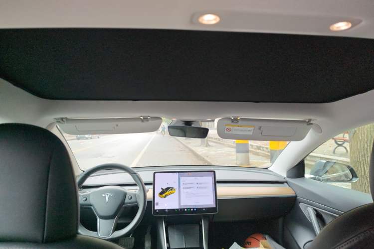 Used Tesla Model 3 2020 Standard Range Rear-Wheel Drive Upgraded Version