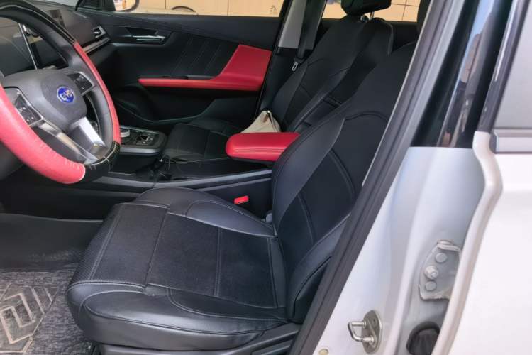 Used BYD e2 2019 Long-Range Version Yao·Luxury Trim