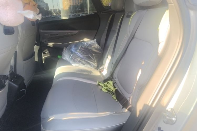 Used Lynk & Co 08 EM-P 2023 245km Ultra-Long Range Halo