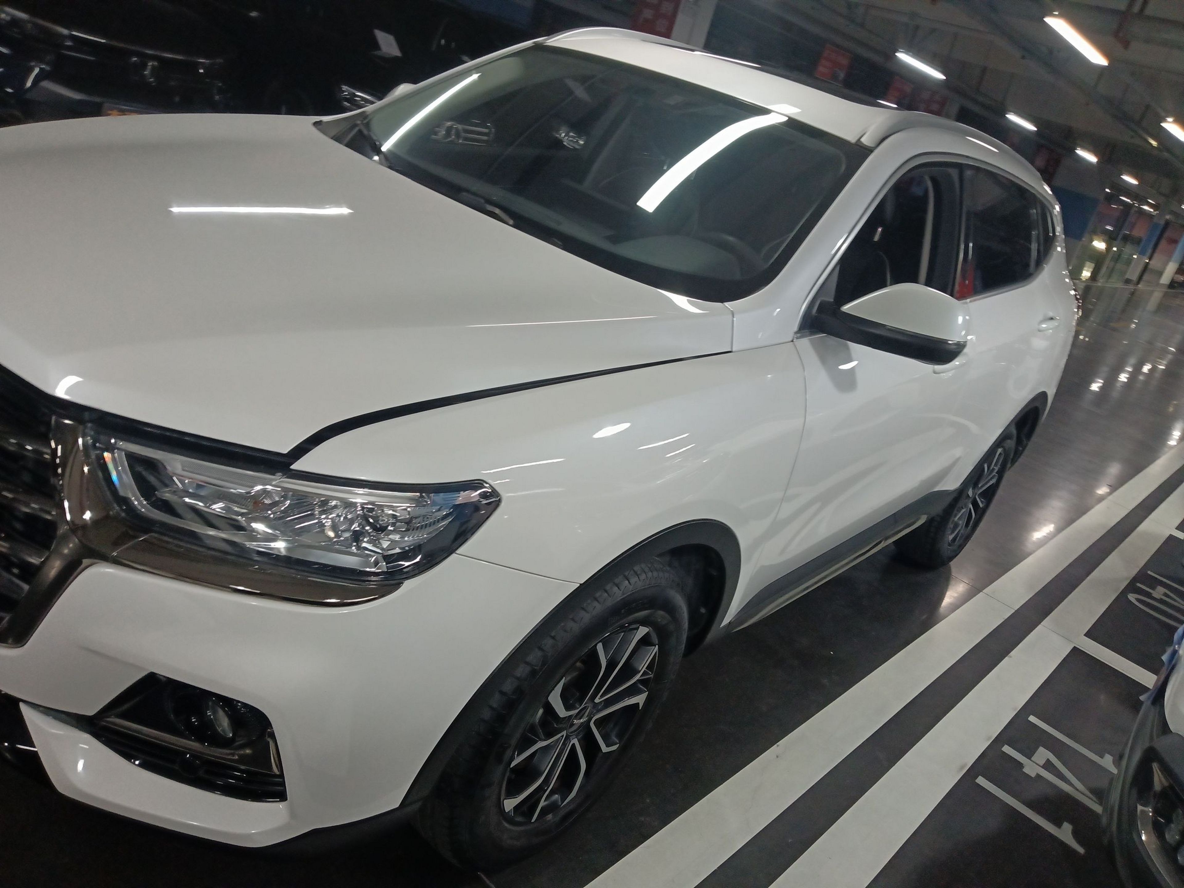 Parte inferior delantera