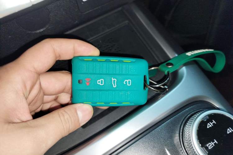 Used Tank 300 2024 2.0T Conqueror
