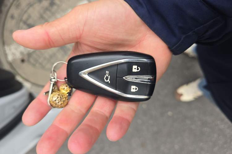 Used Changan CS55PLUS 2020 1.5T Automatic Colorful Model
