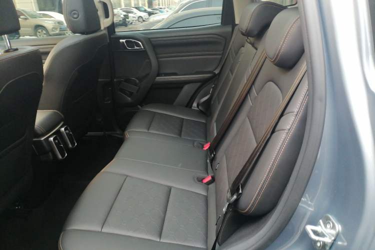 Used Haval DARGO 2024 2.0T DCT Chinese Rural Dog Edition