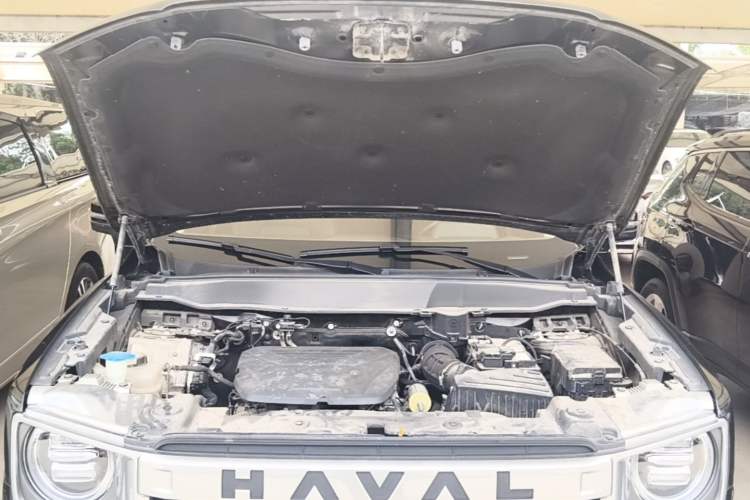 Used Haval DARGO 2024 1.5T DCT Labrador Edition