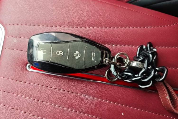 Used Hongqi H5 2024 2.0T Automatic Smart Connect Flagship Edition