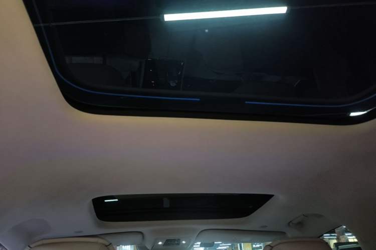 Used Denza D9 2022 DM-i 970 Four-Wheel Drive Flagship Model Headliner