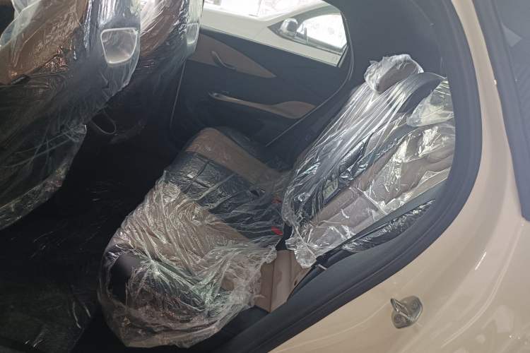 Used BYD Dolphin 2025 420km Free Edition Left Rear Seat