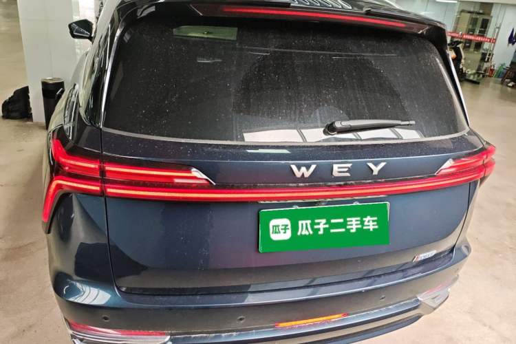 Used Wey Lanshan 2023 Four-Wheel Drive Ultra-Long Range Version