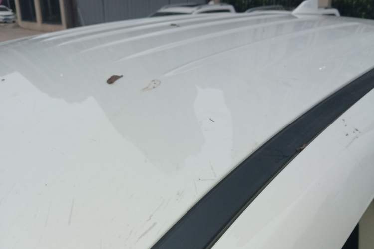 Used Radar Horizon 2023 410 km Entrepreneur Edition