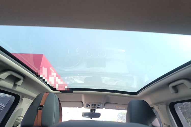 Used Wey VV5 2020 1.5T Two-Wheel Drive Color Pioneer
