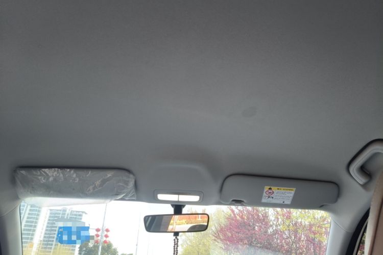 Used Geely Galaxy Geome 2025 310km Youth Edition Headliner