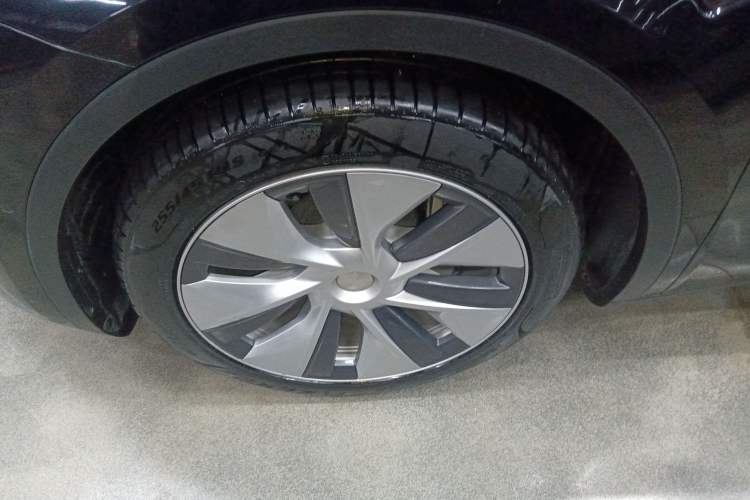 Used Tesla Model Y 2021 Standard Range Rear-Wheel Drive Version