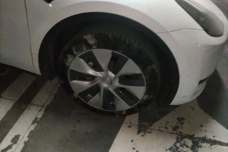 Used Tesla Model Y 2022 Revised Version Rear-Wheel Drive