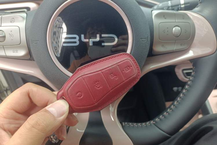 Used BYD Seagull 2024 Honor Edition 305km Freedom Version
