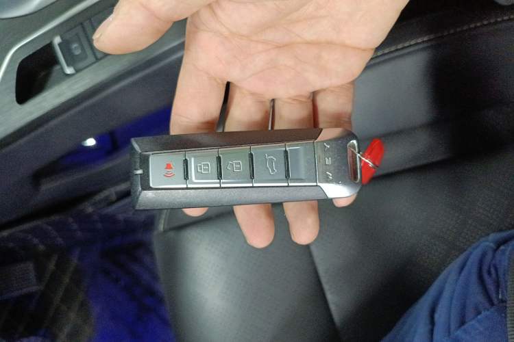 Used Wey VV6 2021 2.0T Two-Wheel Drive Smart Protection+