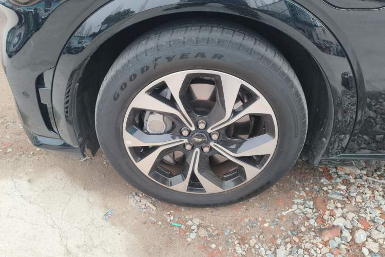 Used Ford Mustang Mach-E 2021 AION Y Plus Rear-Drive Luxury Edition (Long Range)