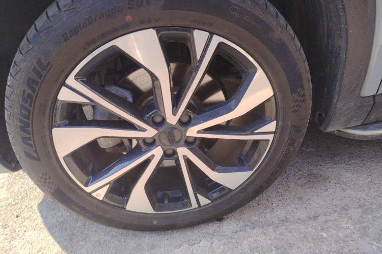 Used Geely Auto Monjaro S 2021 2.0TD DCT Two-Wheel Drive Lightning Edition
