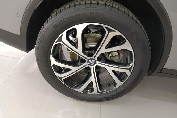 Used BYD Tang New Energy 2025 Intelligent Driving Version DM-i 115KM Flagship Edition Exterior 5