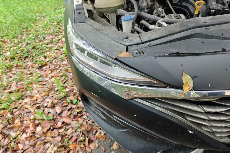 Used Hyundai Lafesta 2019 280TGDi Smart Speed Version China VI Standard Right Front Headlight