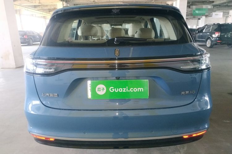 Used Hima H5 2025 Model Pure Electric Max Long Range
