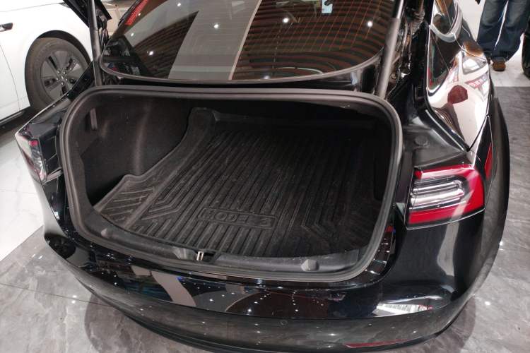 Used Tesla Model 3 2020 Revised Version Standard Range Rear-Wheel Drive – Upgraded Edition
