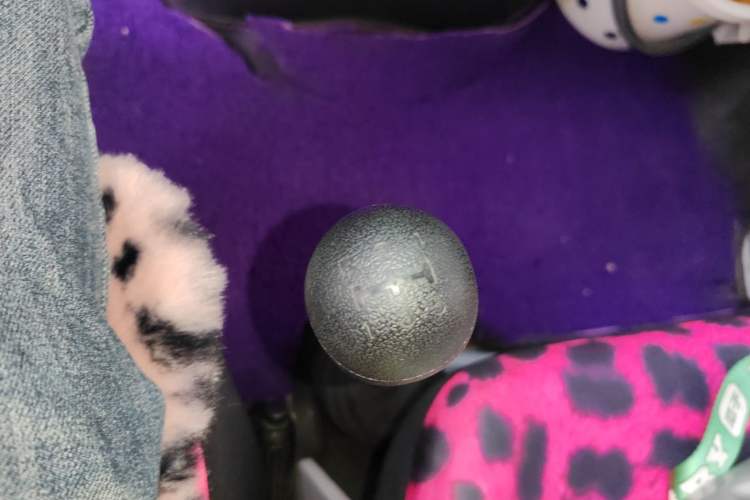 Used Iveco Daily 2017 2.5T A35 Passenger Van 5-7 Seats Model 47Z5 Gear Lever