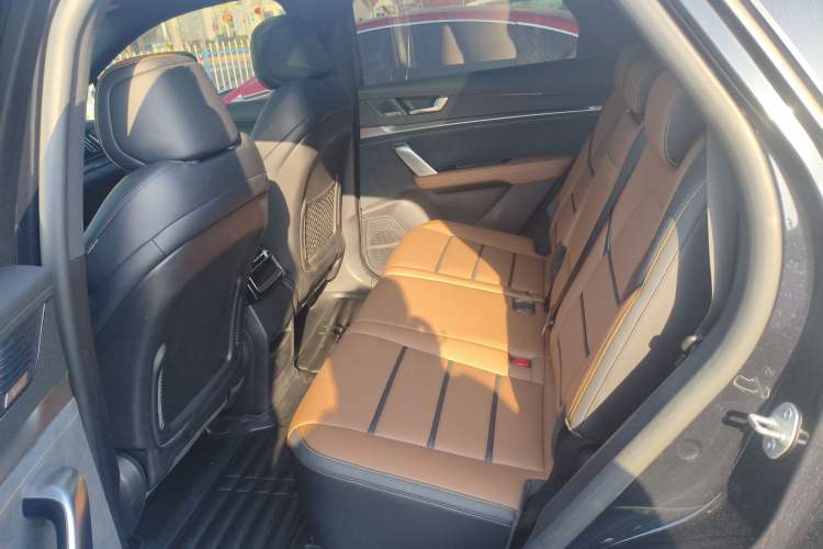 Used BYD Tang New Energy 2021 DM 2.0T Four-Wheel Drive High-Performance Luxury Model