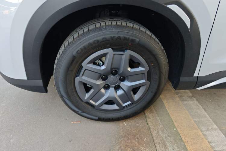 Used BYD Yuan UP 2025 Model 301KM Leading Version
