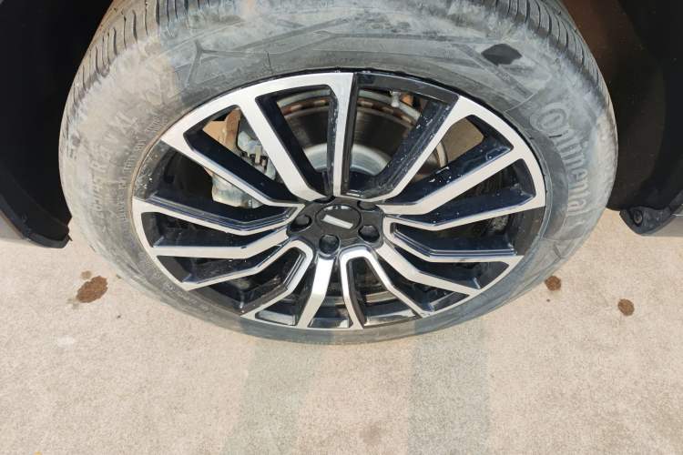 Used Wey Mocha 2021 2.0T Four-Wheel Drive Premium Edition
