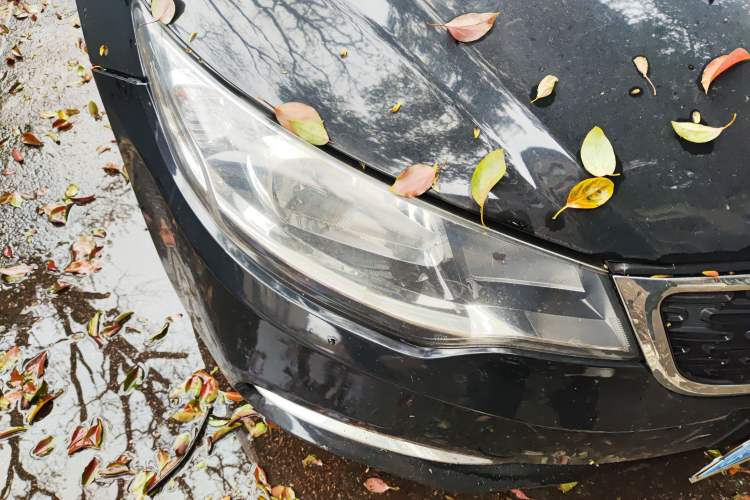 Used Kia Forte 2014 1.6L AT GL