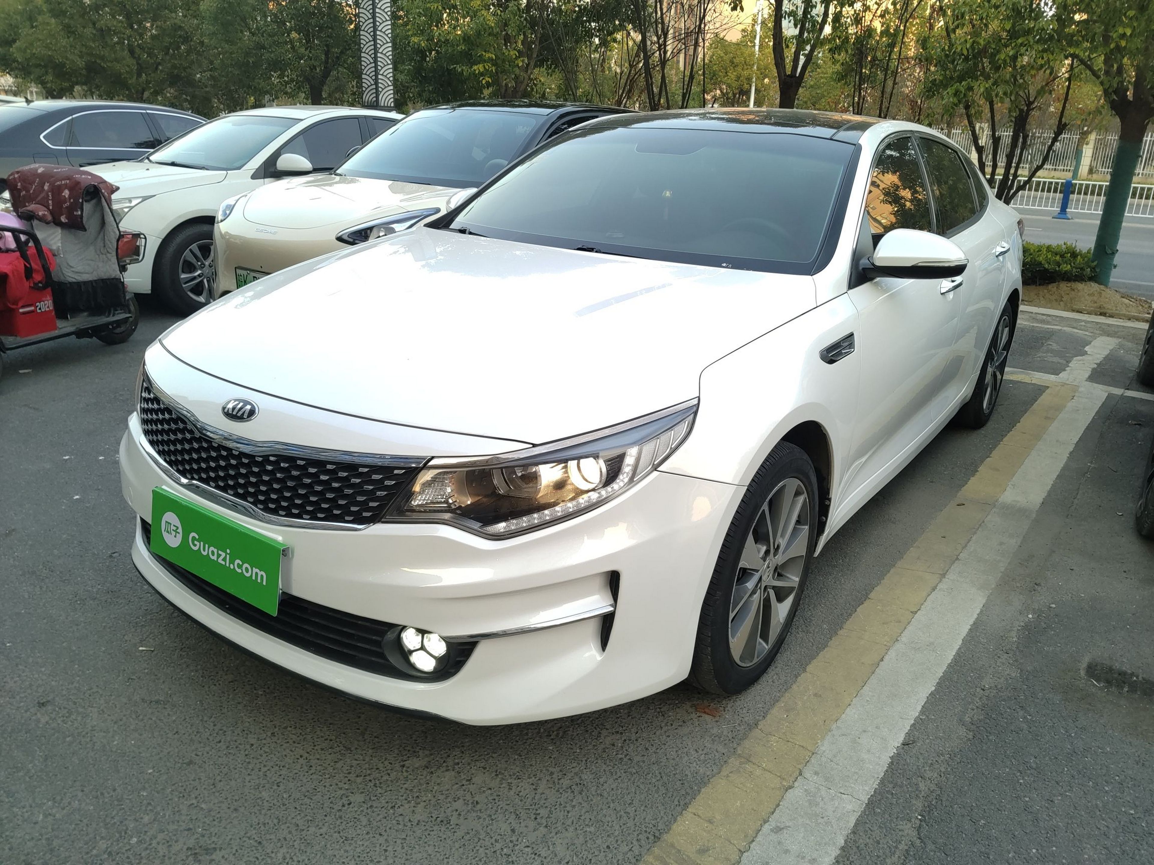 Under Front Bumper