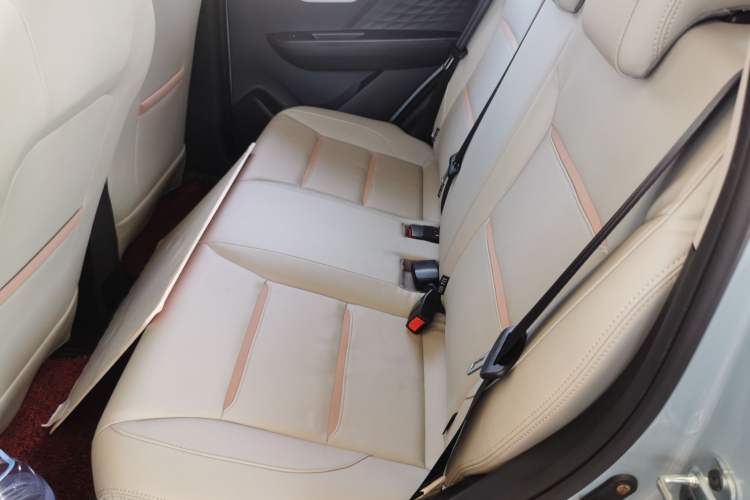 Used SOL E10X 2022 Flower Fairy Design Four-Leaf Clover