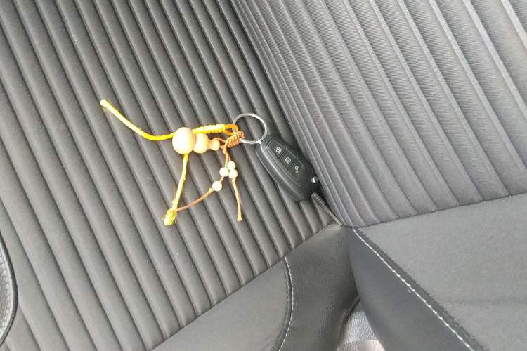 Used Ford Focus 2018 Hatchback Classic 1.6L Automatic Trendy SmartDrive Edition
