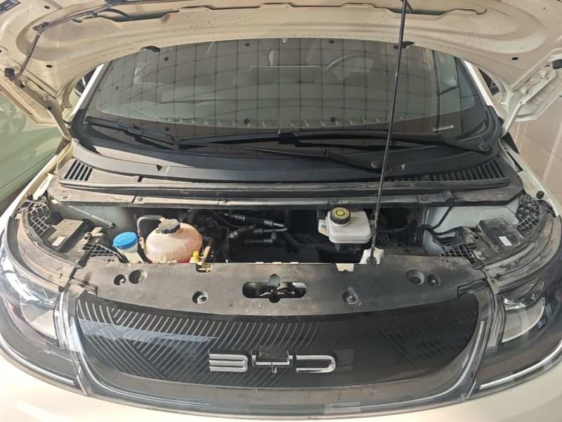 Used BYD Dolphin 2023 420 km Free Version — 19